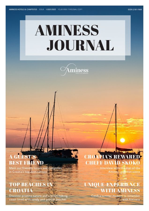 Aminess Journal